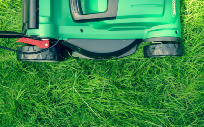 Year-Round Lawn Care Tips from OntarioTerra’s Experts