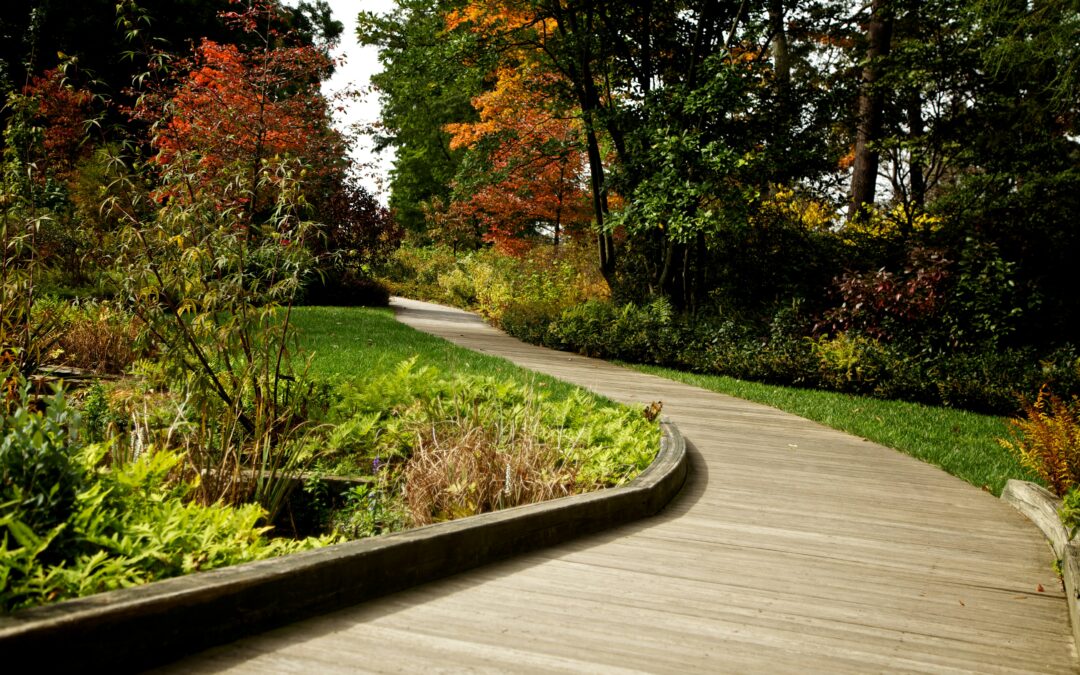 Sustainable Landscape Design: OntarioTerra’s Eco-Friendly Approach